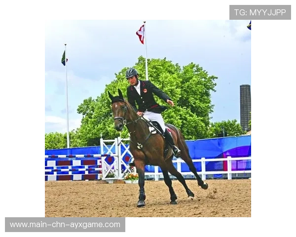 马术花式赛选手骑马后空翻,其实是摔了但太帅 马术花式赛选手骑马后空翻,其实是摔了但太帅